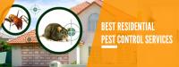 Residential Pest Control Brisbane image 6